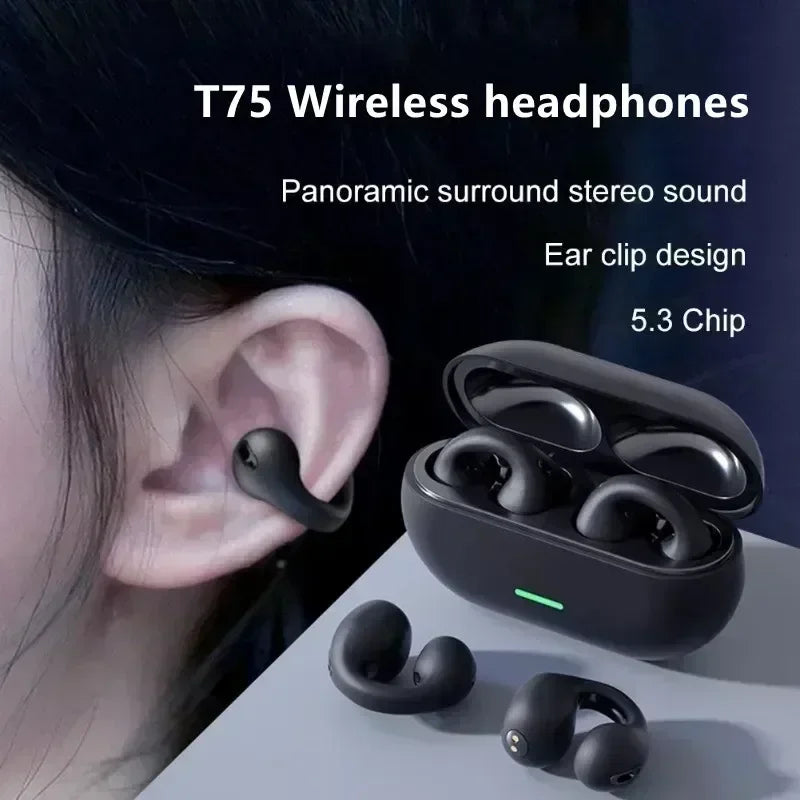 Aevra Wireless Earbuds